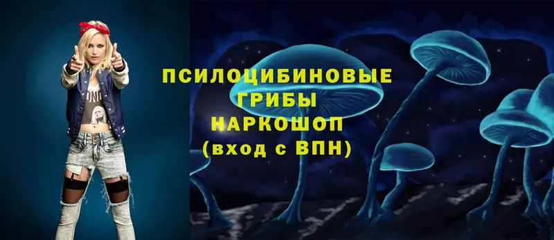 Галлюциногенные грибы Psilocybe  Орлов 